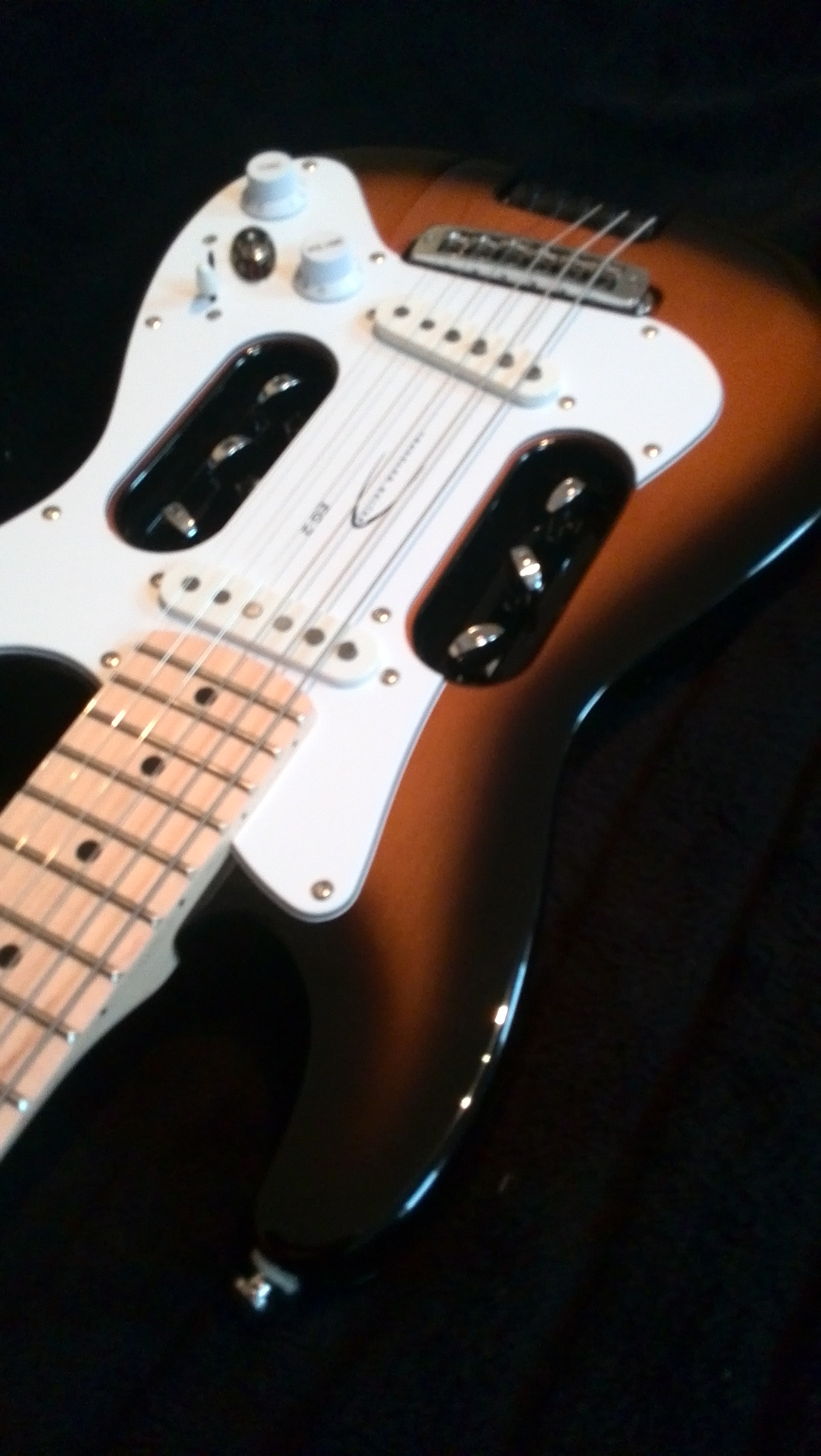 MeineGitarren-016a .jpg